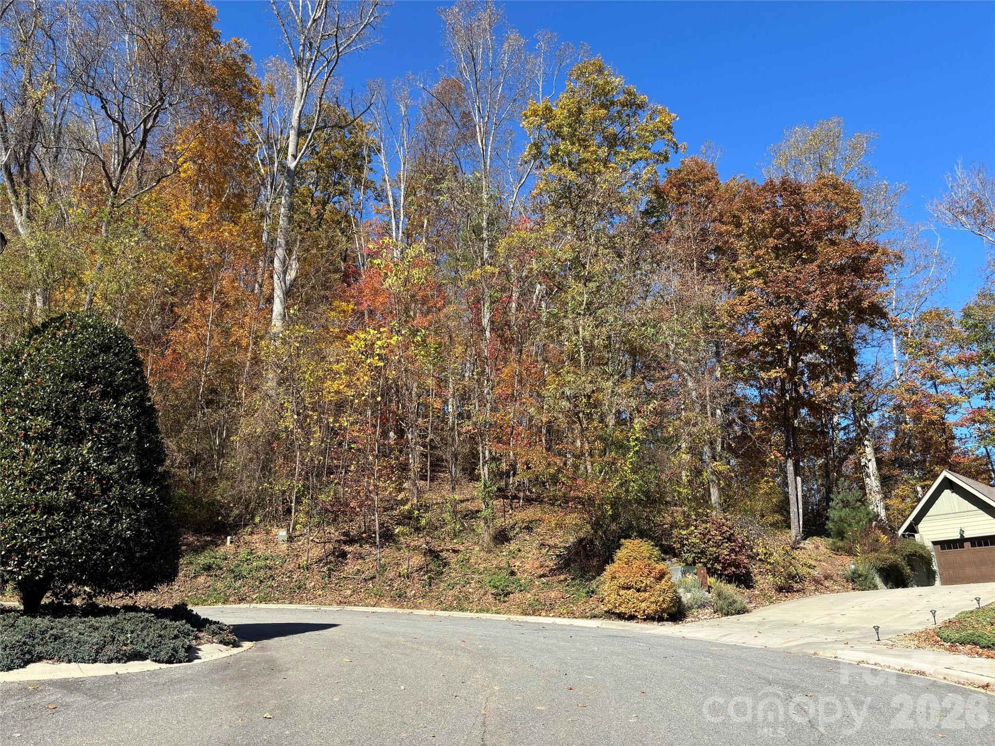 20 Lagrange Drive Asheville NC 28805