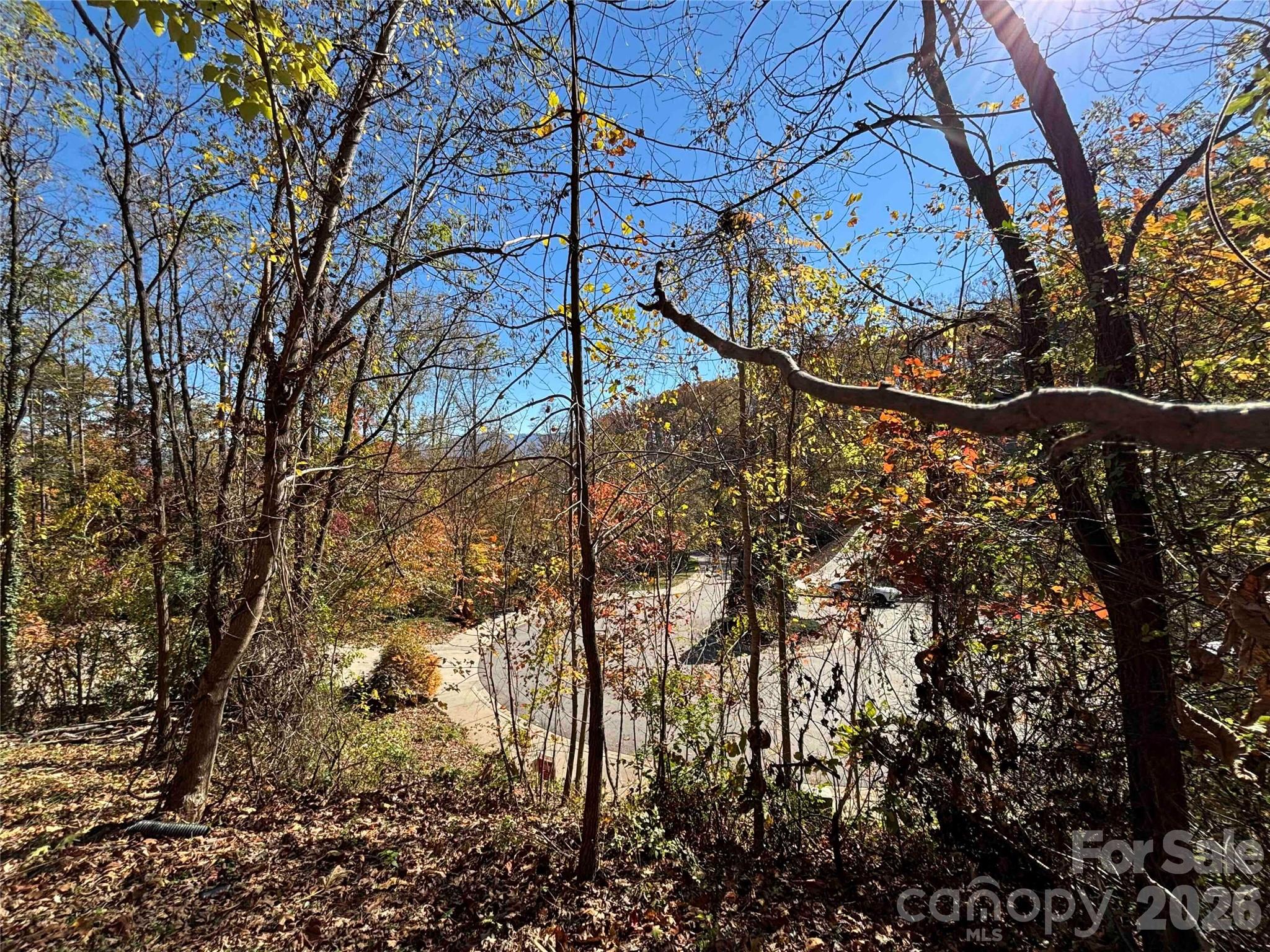 20 Lagrange Drive Asheville NC 28805
