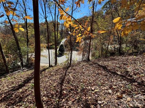 20 Lagrange Drive Asheville NC 28805