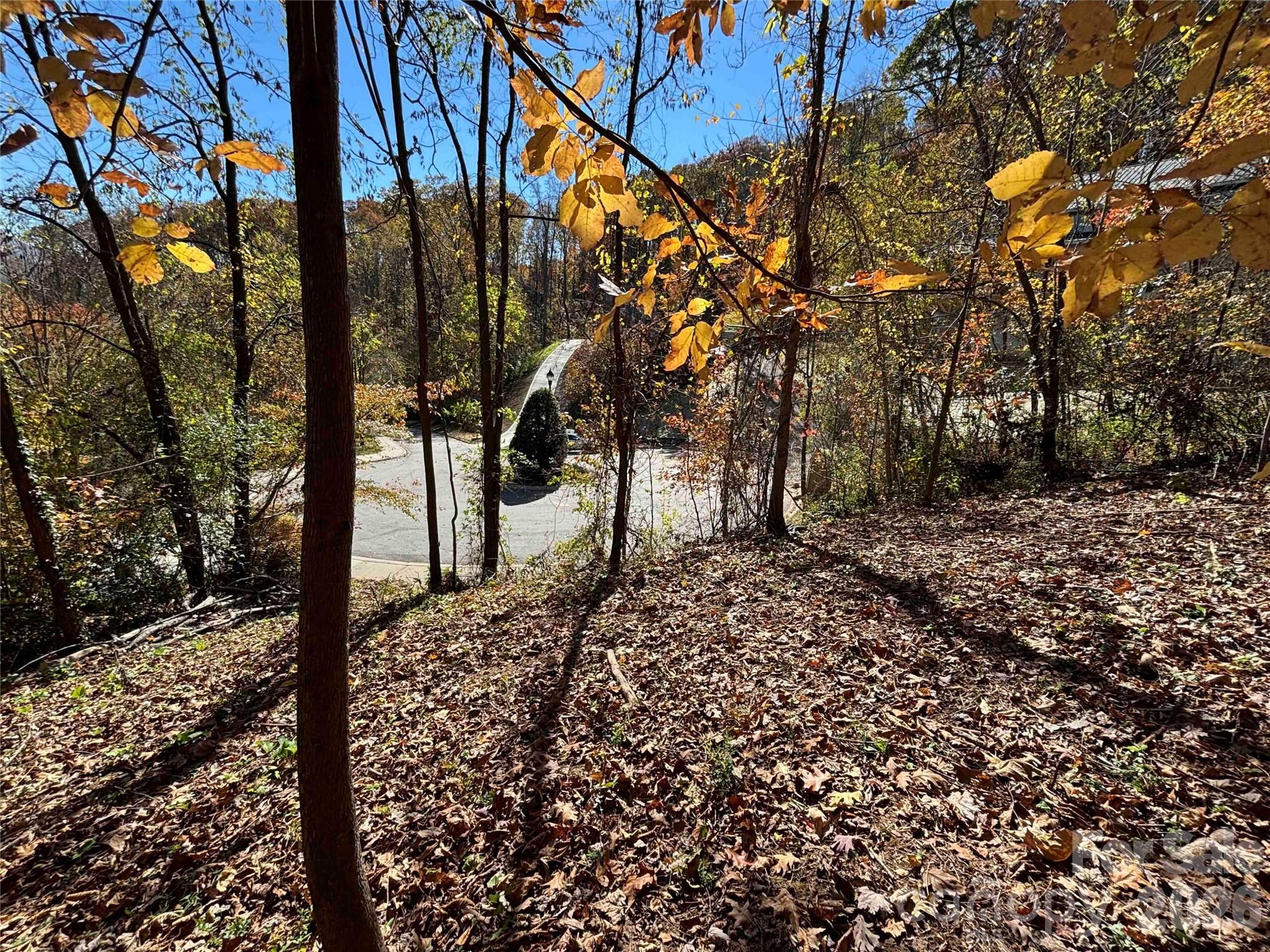 20 Lagrange Drive Asheville NC 28805