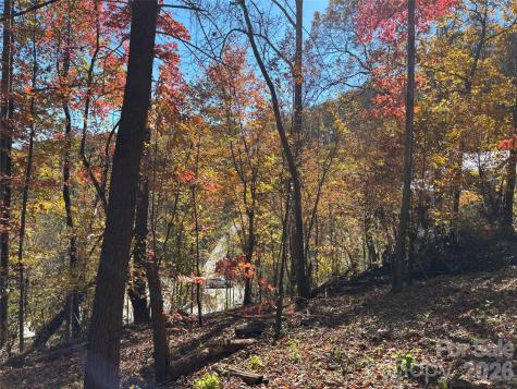 20 Lagrange Drive Asheville NC 28805