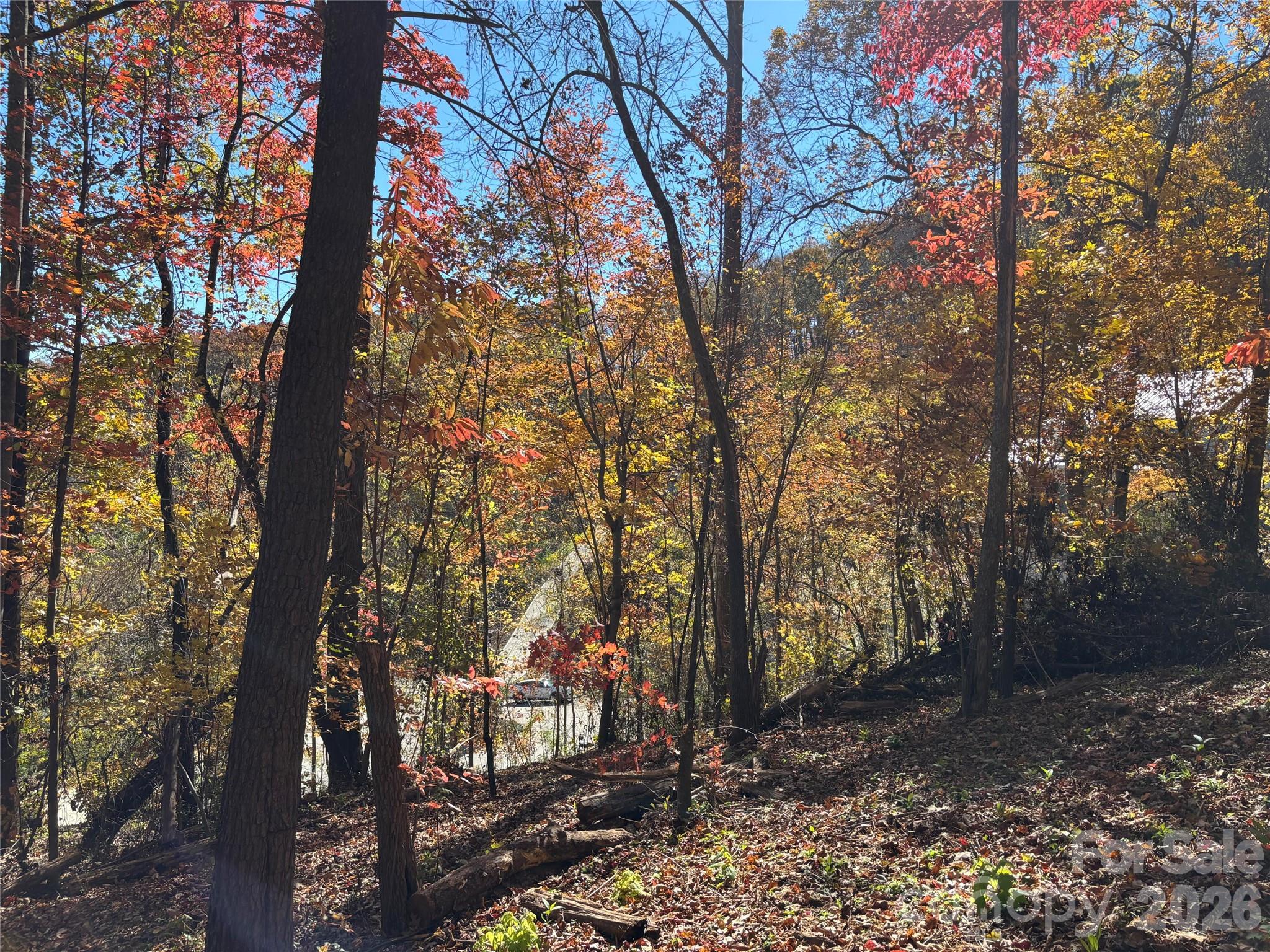 20 Lagrange Drive Asheville NC 28805