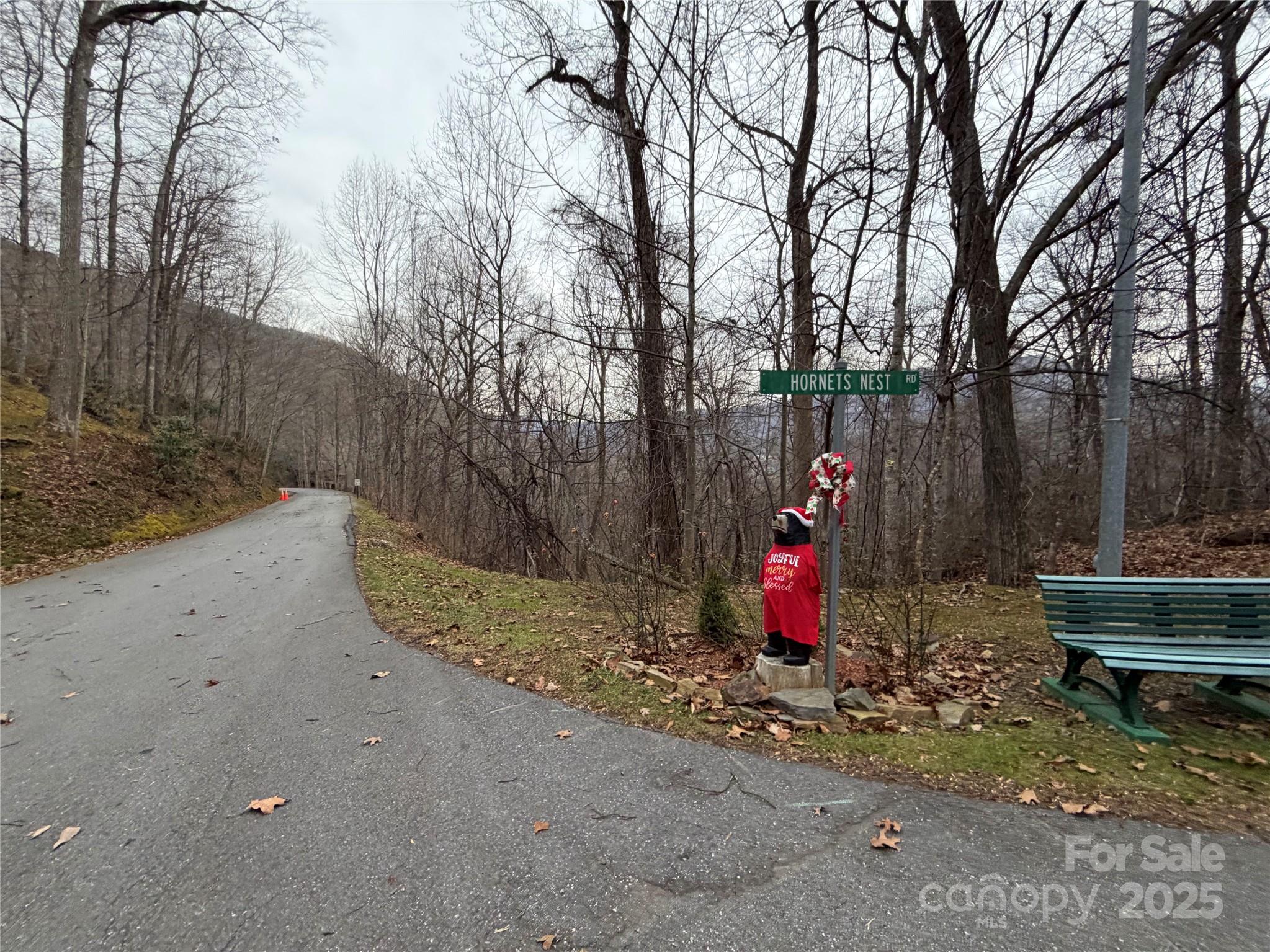 Tbd Hornets Nest Road Maggie Valley NC 28751