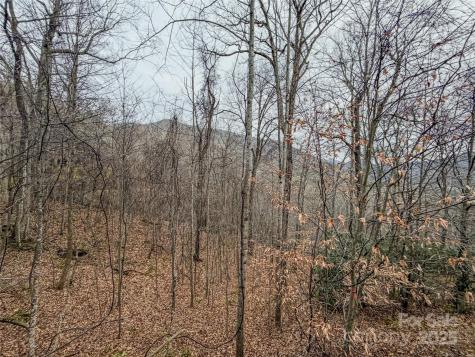Tbd Hornets Nest Road Maggie Valley NC 28751