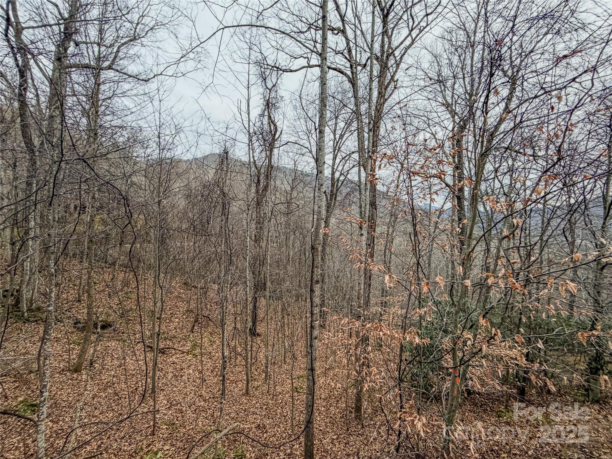 Tbd Hornets Nest Road Maggie Valley NC 28751