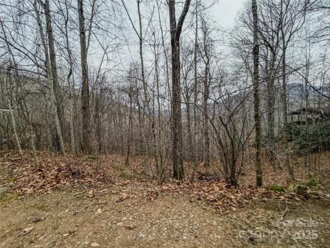 Tbd Hornets Nest Road Maggie Valley NC 28751