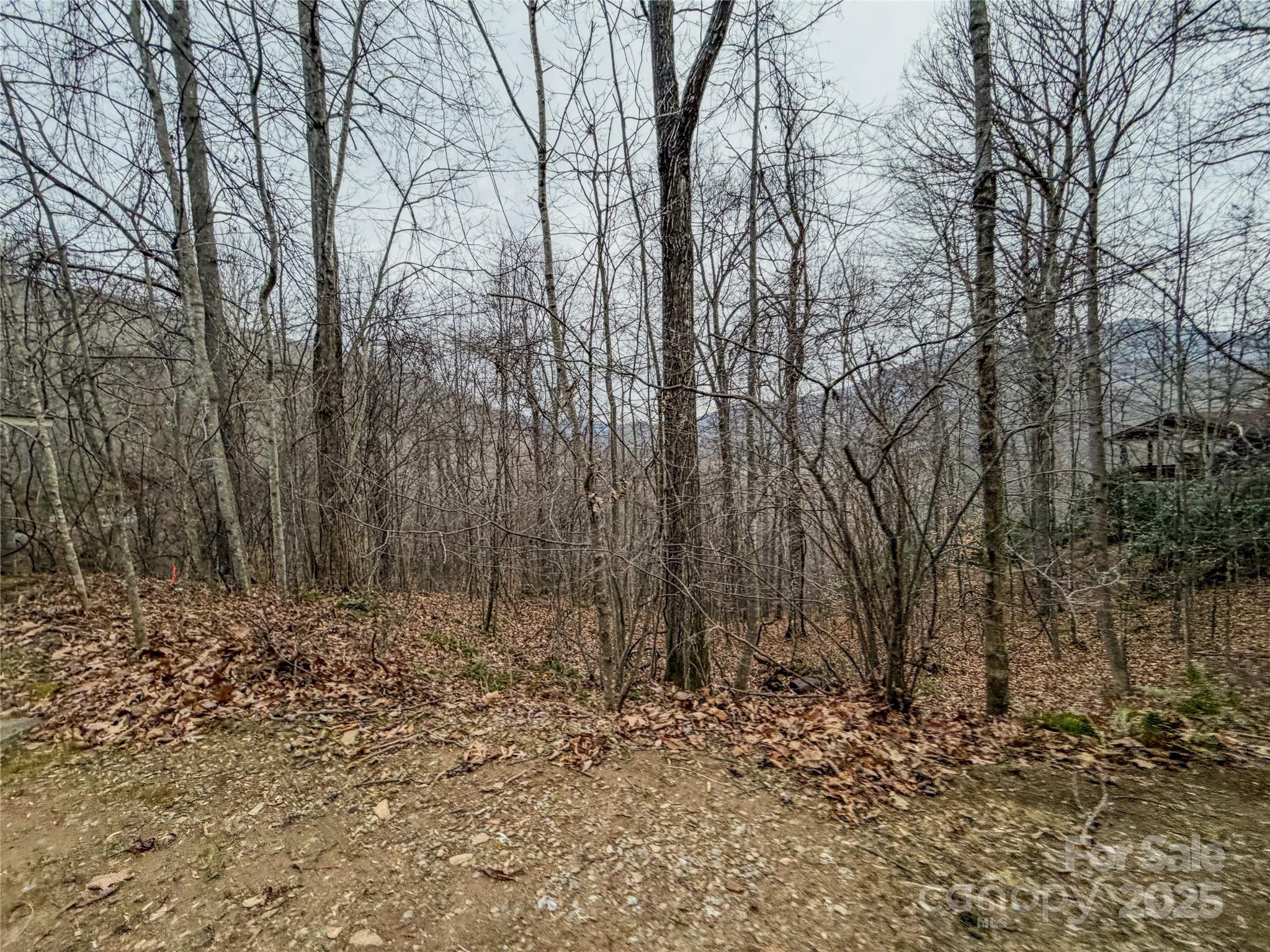 Tbd Hornets Nest Road Maggie Valley NC 28751