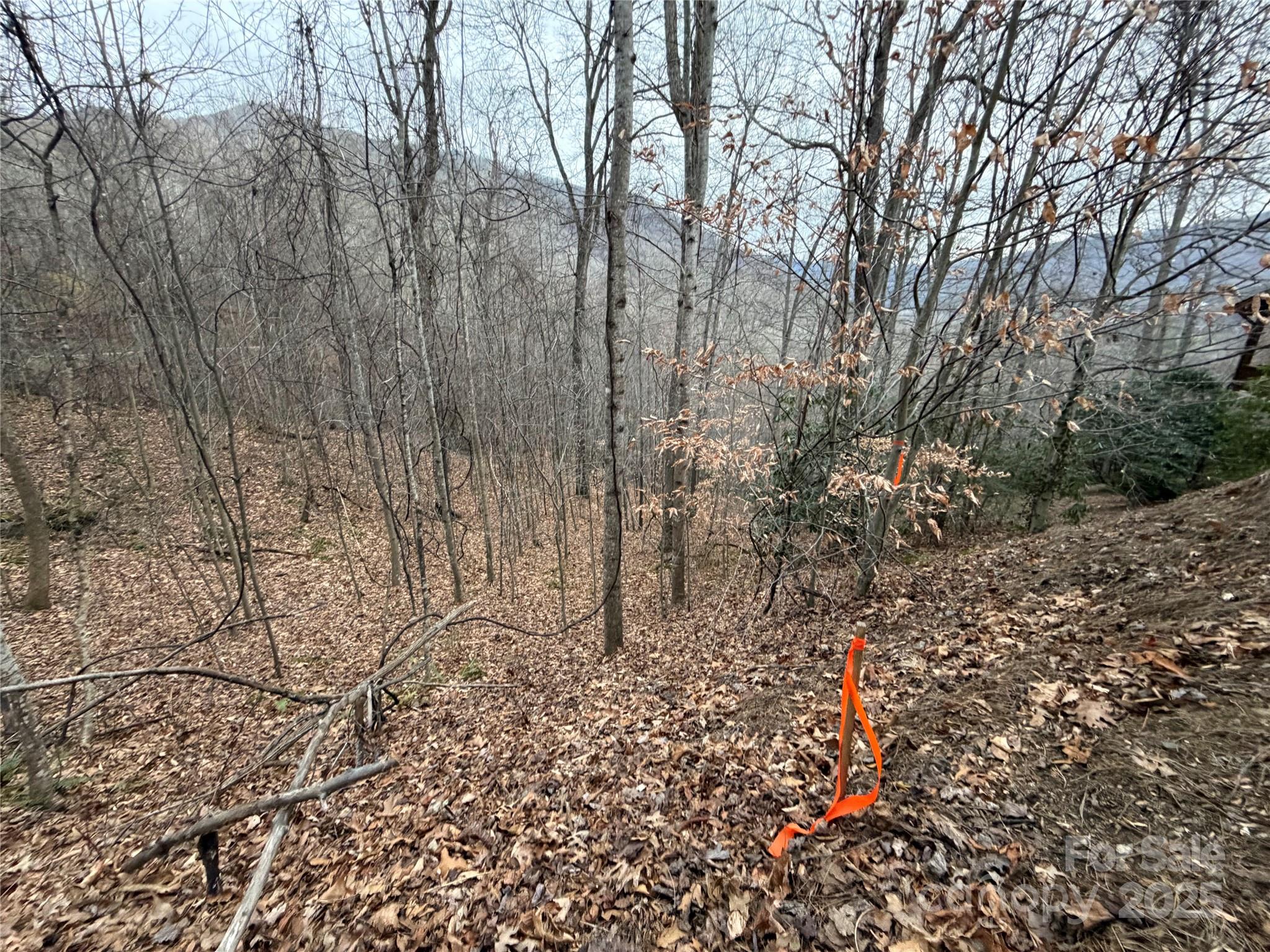 Tbd Hornets Nest Road Maggie Valley NC 28751