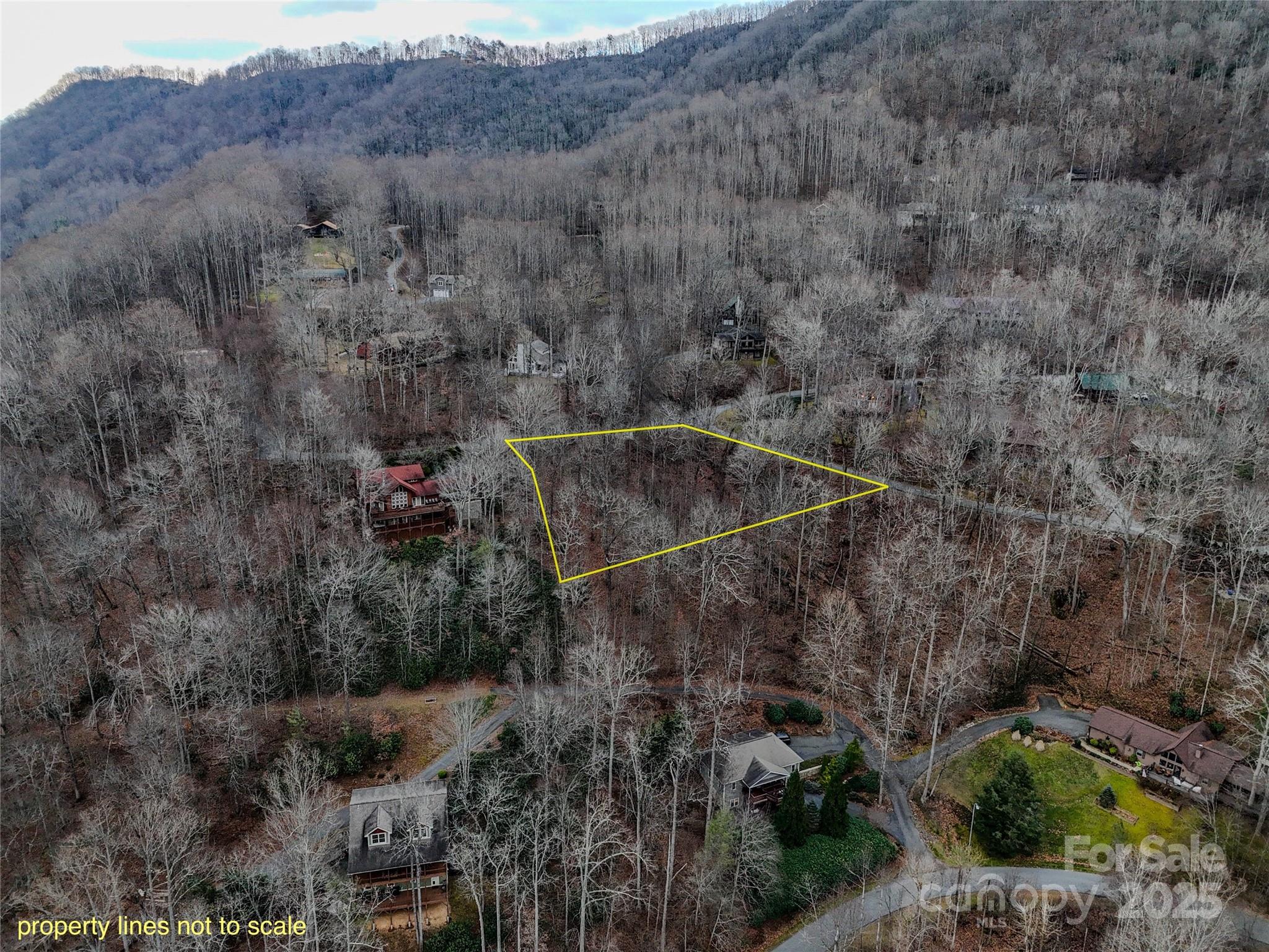 Tbd Hornets Nest Road Maggie Valley NC 28751