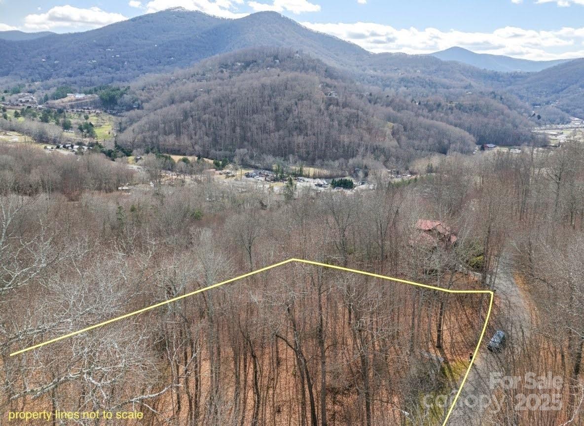 Tbd Hornets Nest Road Maggie Valley NC 28751