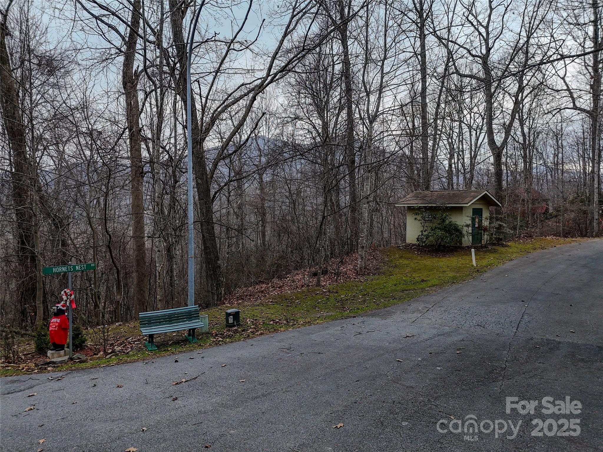 Tbd Hornets Nest Road Maggie Valley NC 28751