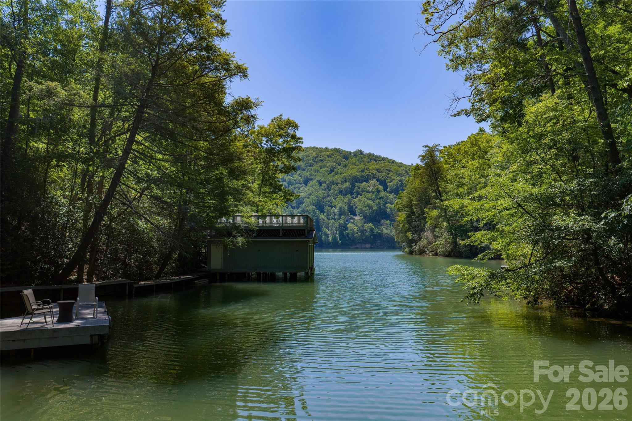 000 Dogwood Drive Lake Lure NC 28746