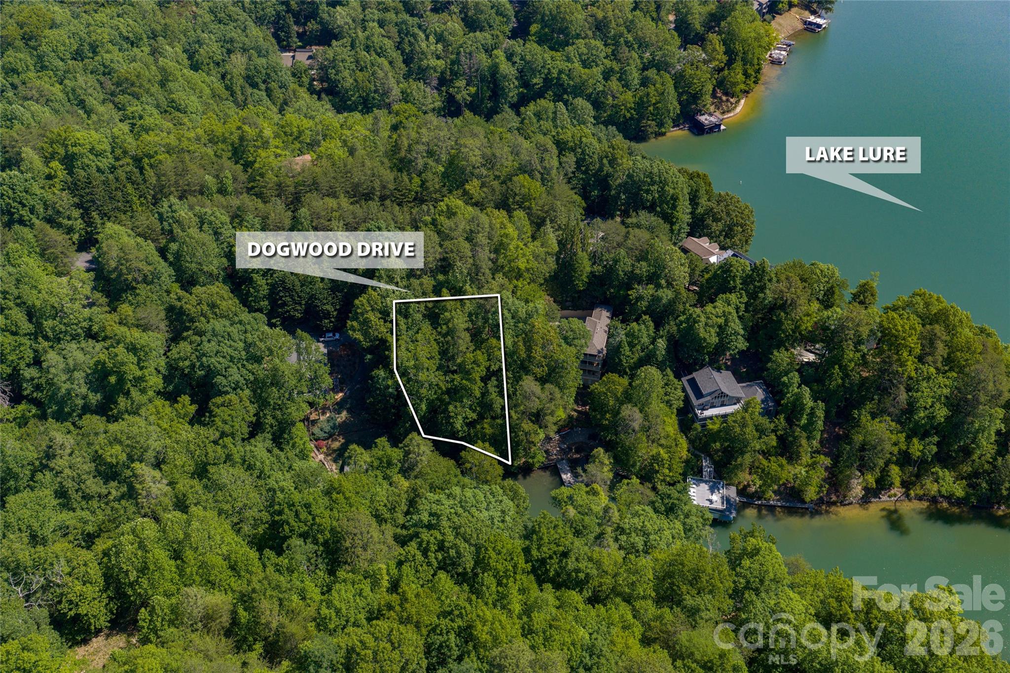 000 Dogwood Drive Lake Lure NC 28746