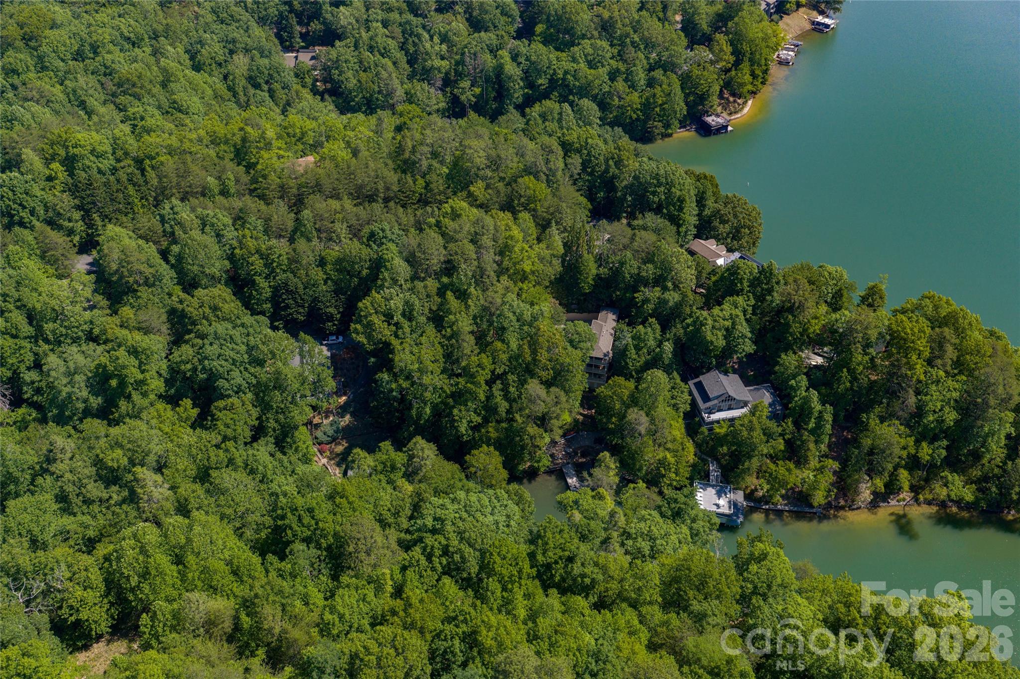 000 Dogwood Drive Lake Lure NC 28746