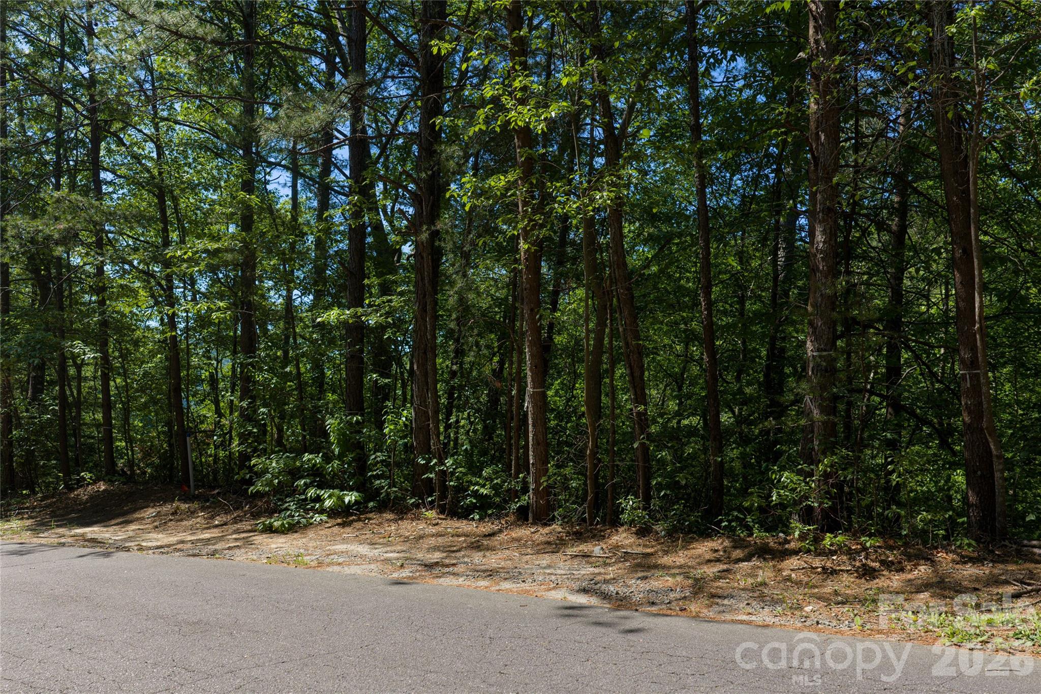 000 Dogwood Drive Lake Lure NC 28746
