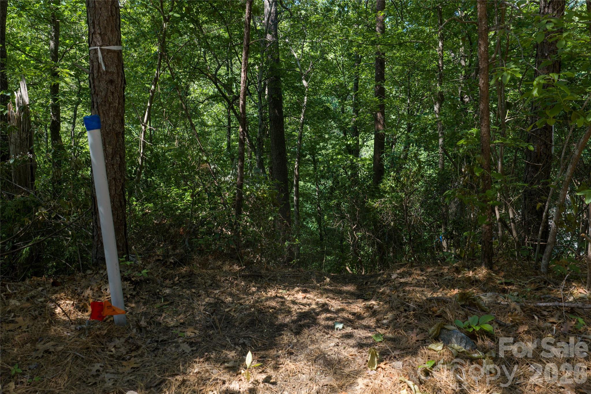 000 Dogwood Drive Lake Lure NC 28746