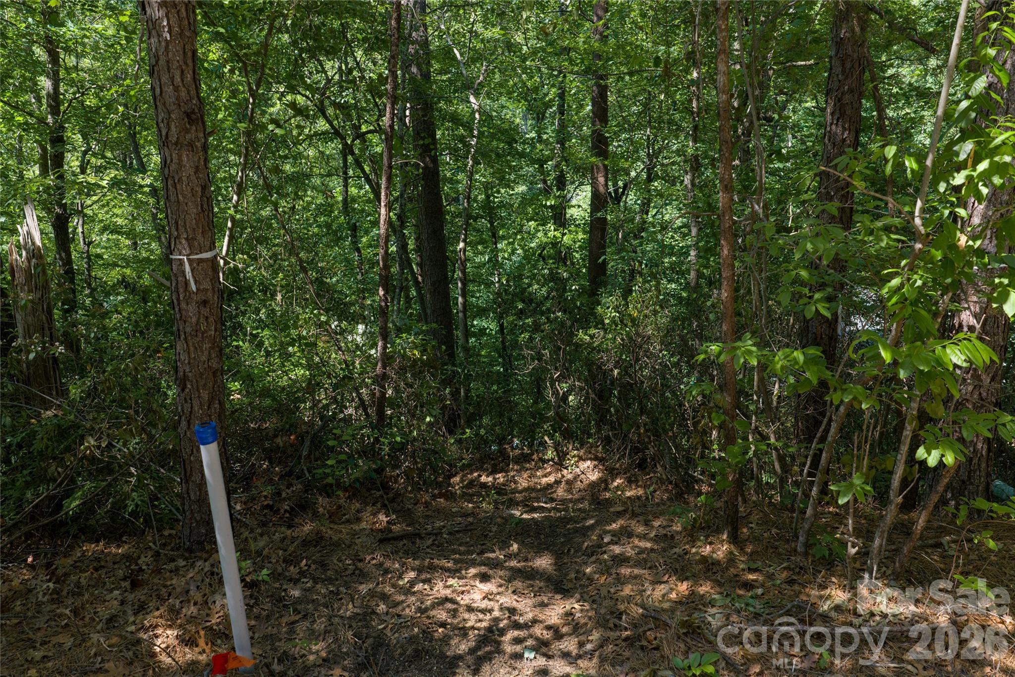 000 Dogwood Drive Lake Lure NC 28746