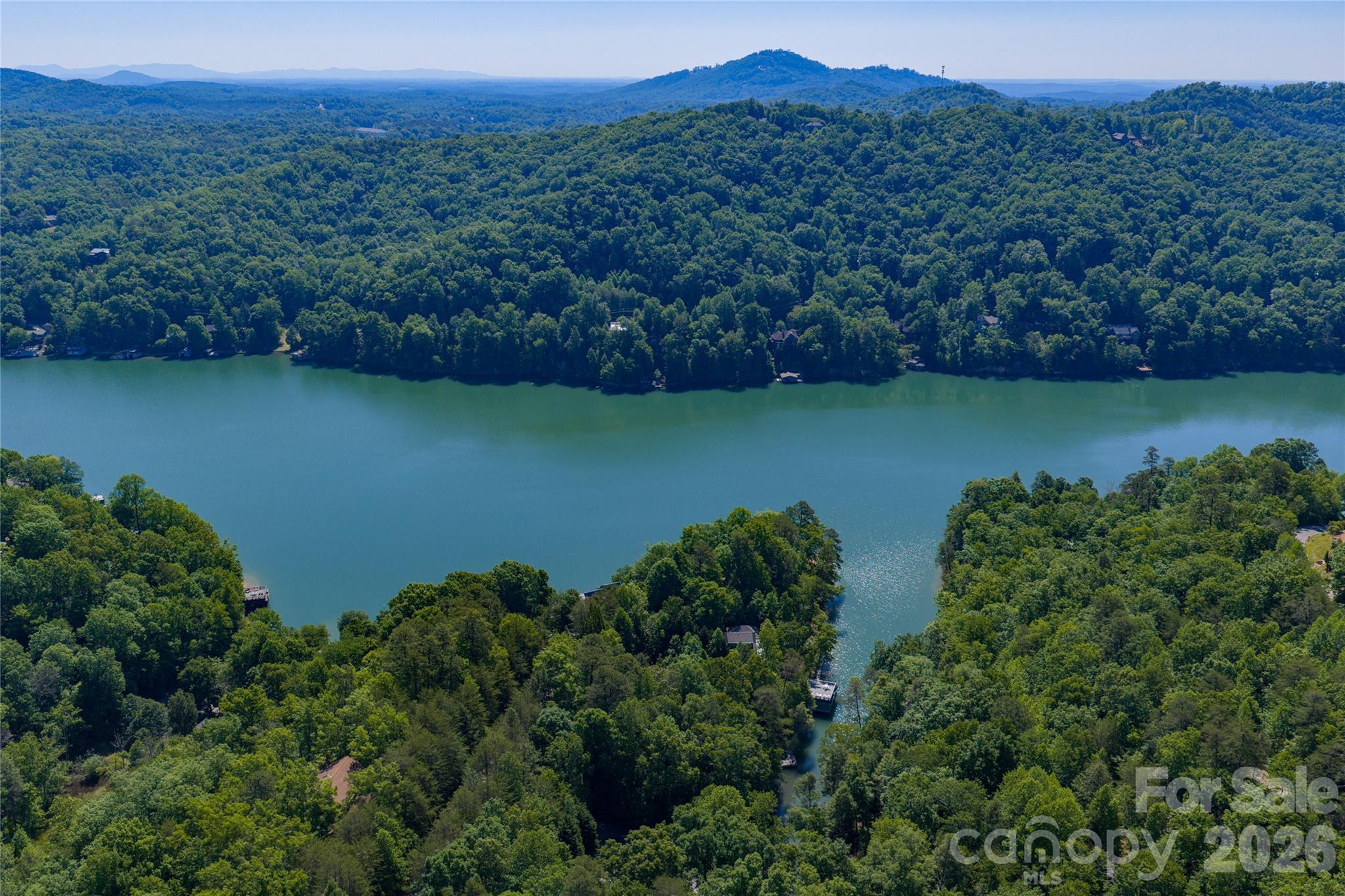 000 Dogwood Drive Lake Lure NC 28746