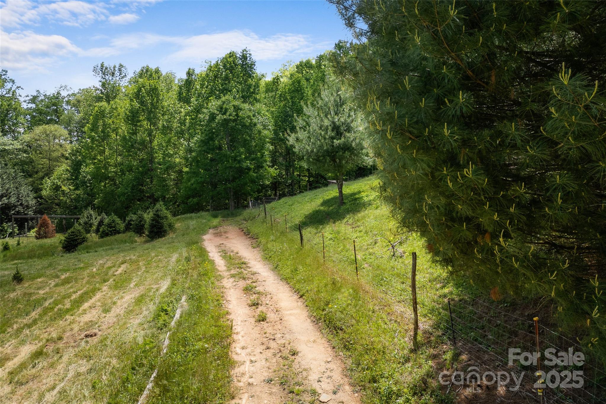 1557 Shoal Creek Road Balsam Grove NC 28708