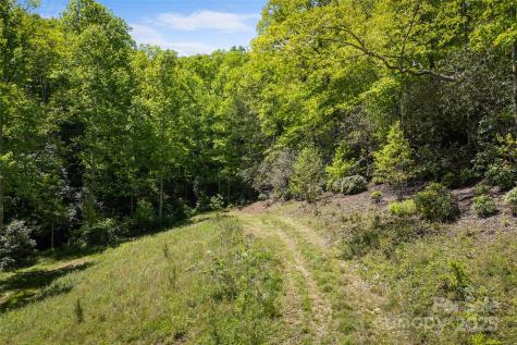 1557 Shoal Creek Road Balsam Grove NC 28708