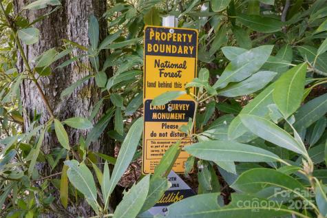 1557 Shoal Creek Road Balsam Grove NC 28708