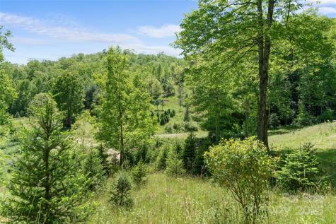 1557 Shoal Creek Road Balsam Grove NC 28708