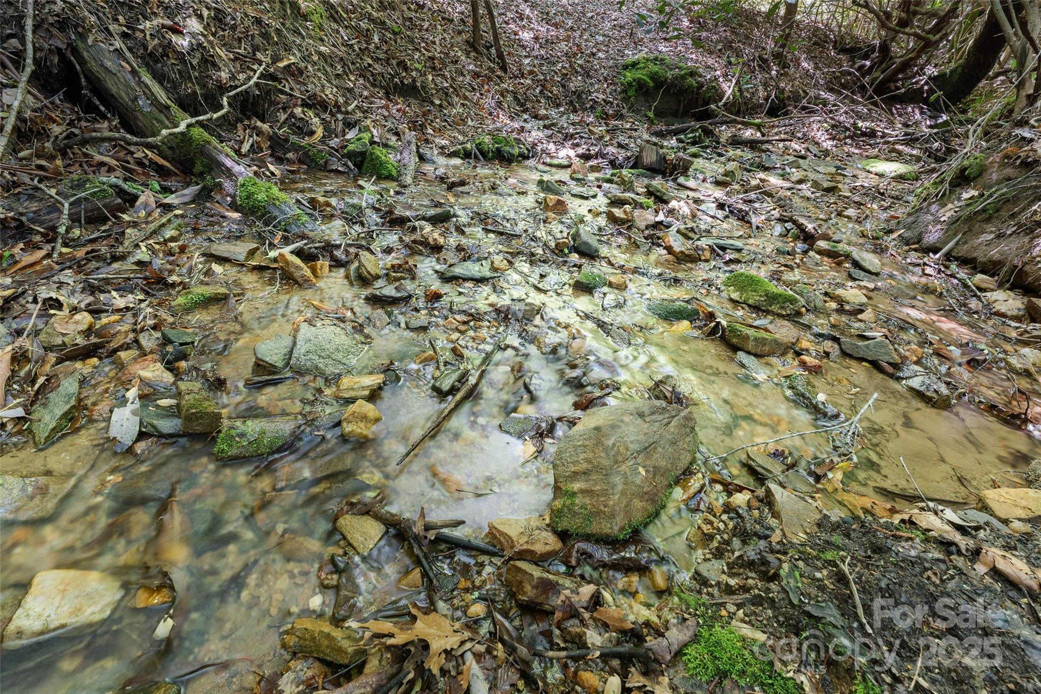 1557 Shoal Creek Road Balsam Grove NC 28708