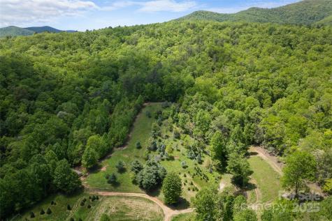 1557 Shoal Creek Road Balsam Grove NC 28708