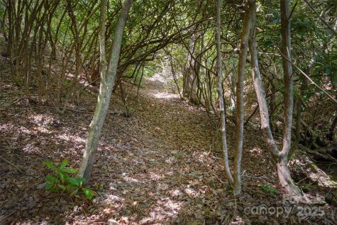 1557 Shoal Creek Road Balsam Grove NC 28708