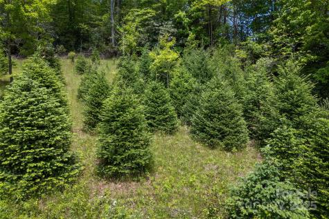 1557 Shoal Creek Road Balsam Grove NC 28708