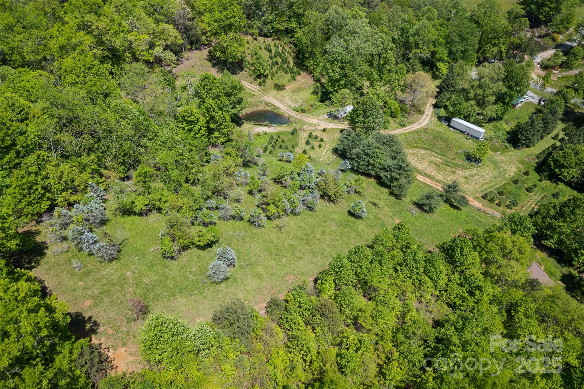 1557 Shoal Creek Road Balsam Grove NC 28708