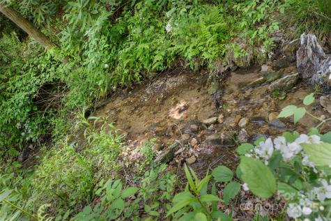 1557 Shoal Creek Road Balsam Grove NC 28708