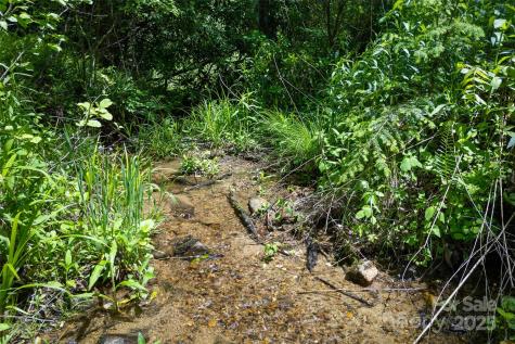 1557 Shoal Creek Road Balsam Grove NC 28708