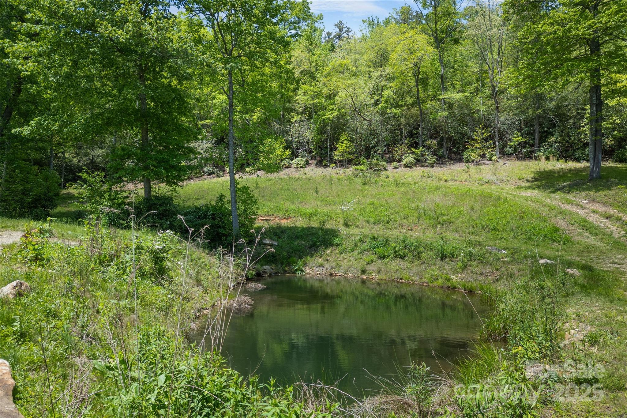 1557 Shoal Creek Road Balsam Grove NC 28708