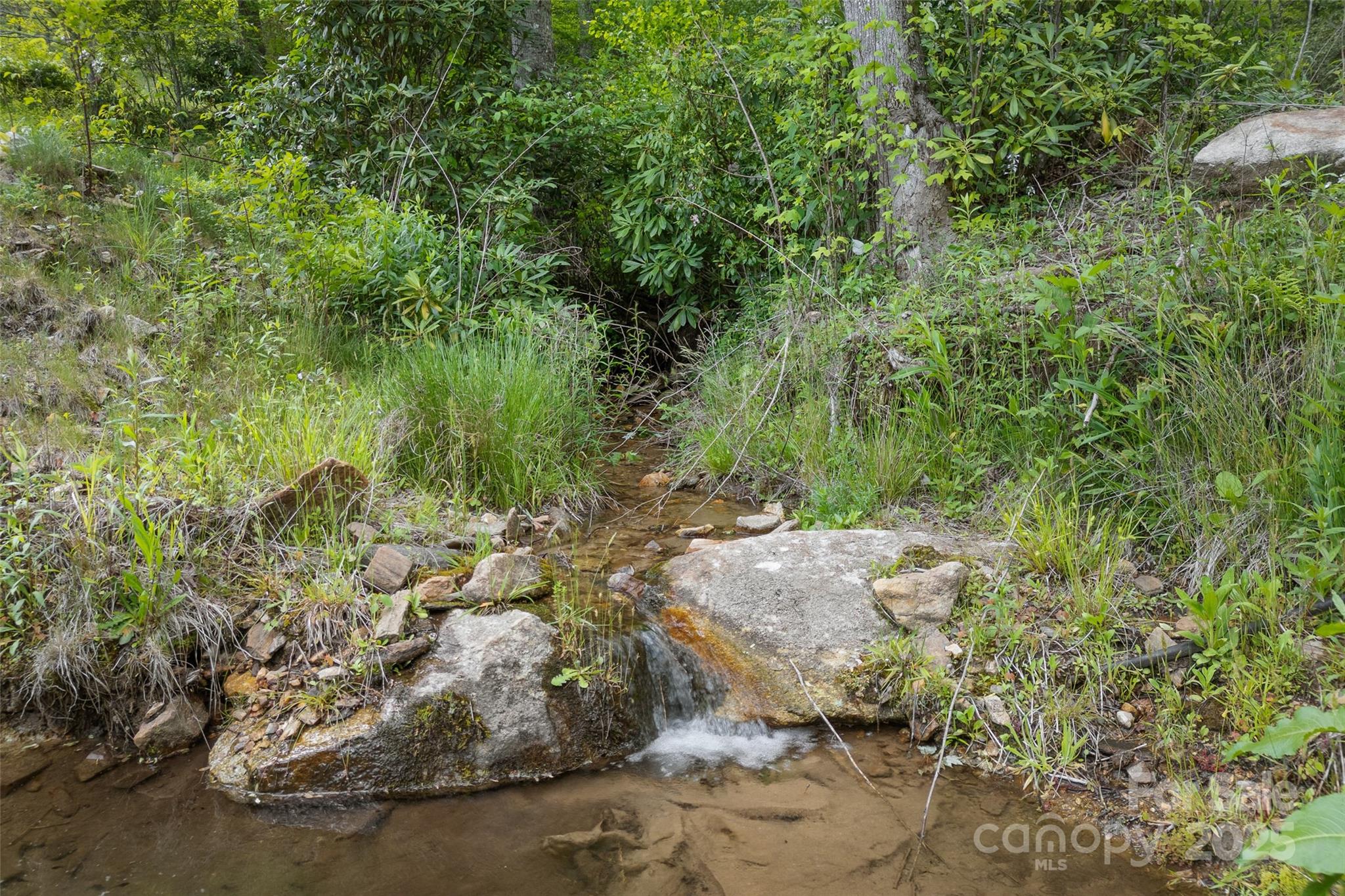 1557 Shoal Creek Road Balsam Grove NC 28708
