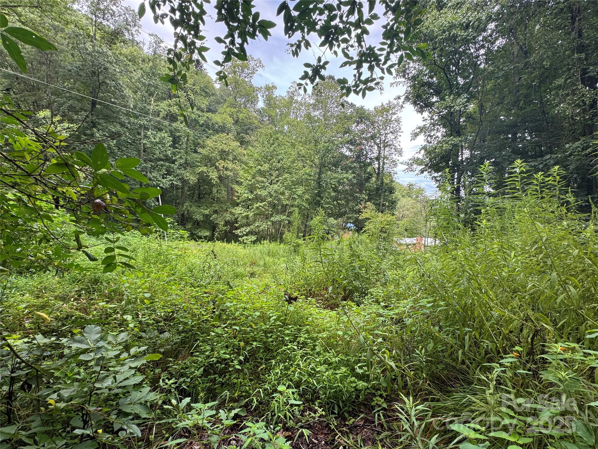 302 Wilson Cove Road Swannanoa NC 28778