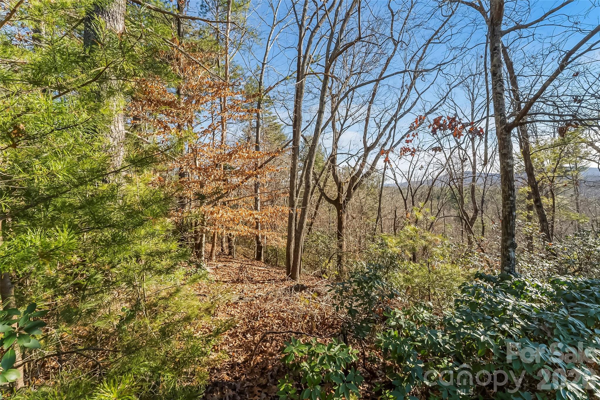 961 High Trail Drive Nebo NC 28761
