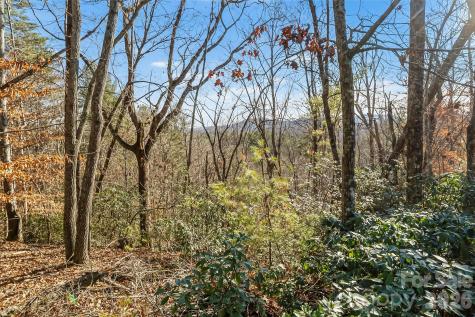 961 High Trail Drive Nebo NC 28761