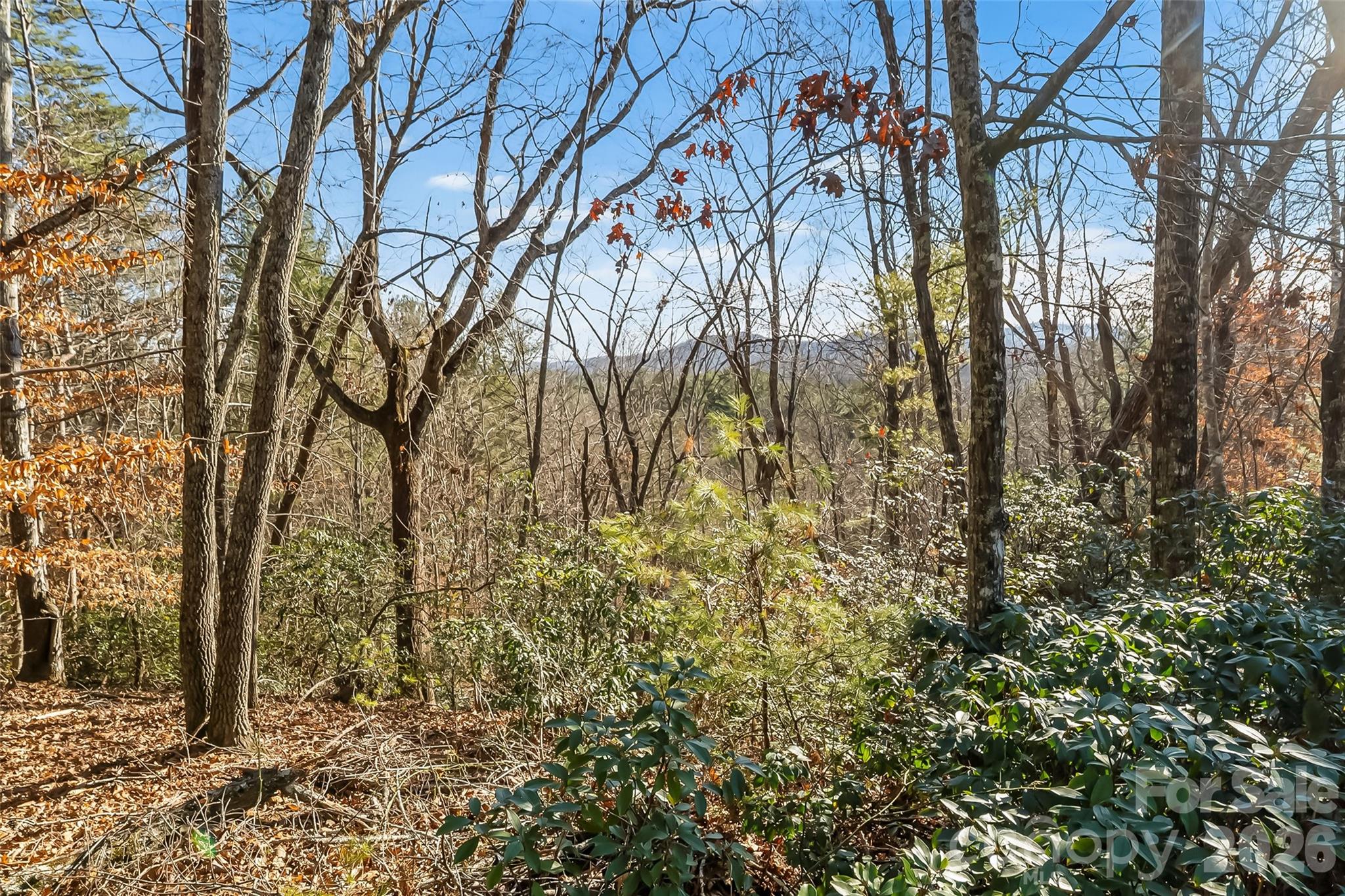 961 High Trail Drive Nebo NC 28761