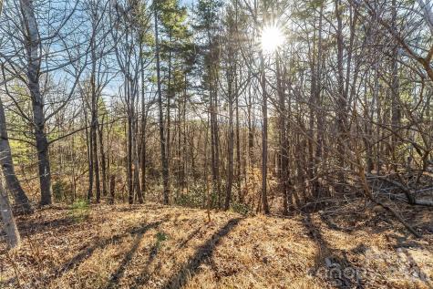 961 High Trail Drive Nebo NC 28761