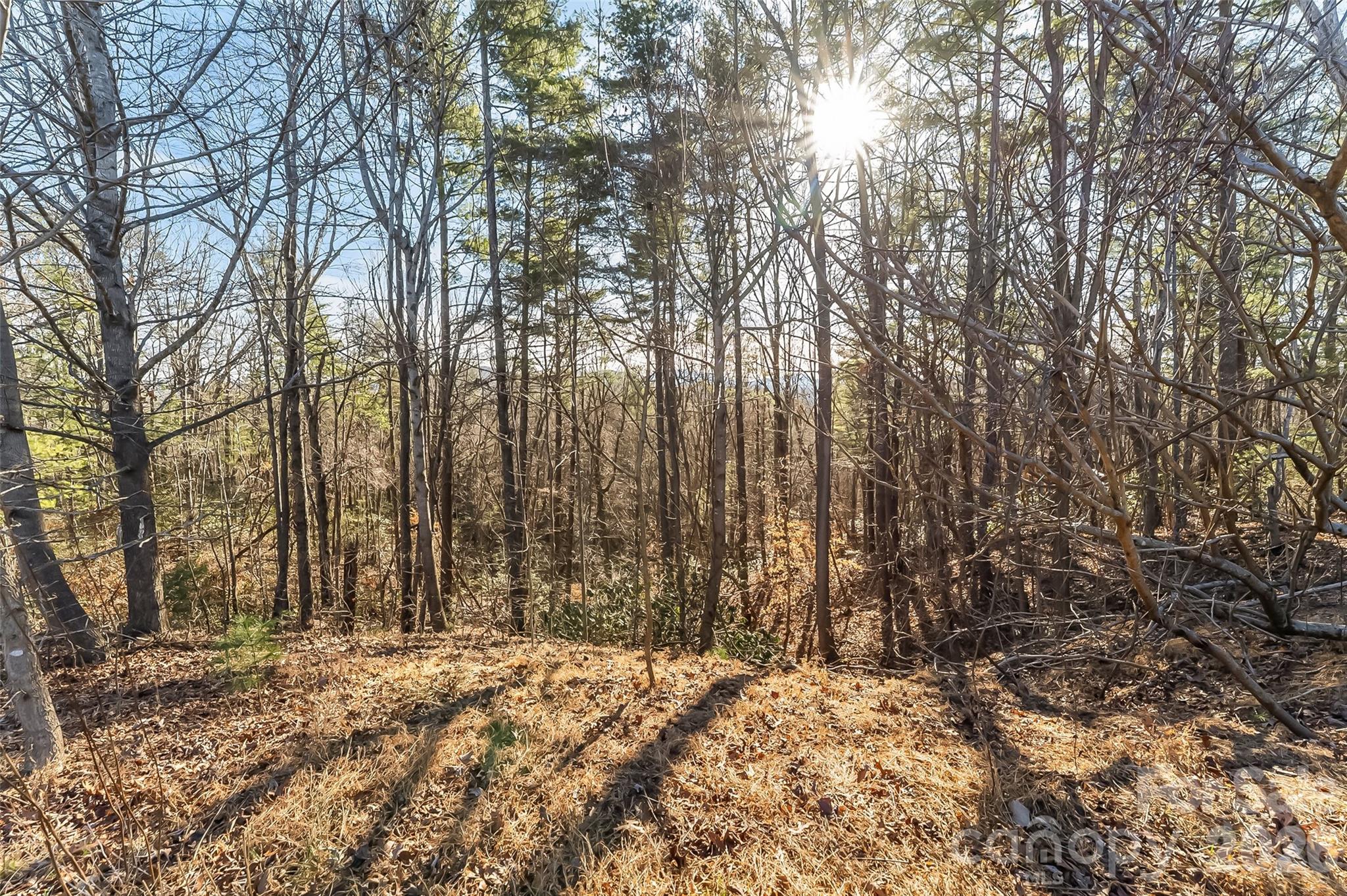 961 High Trail Drive Nebo NC 28761