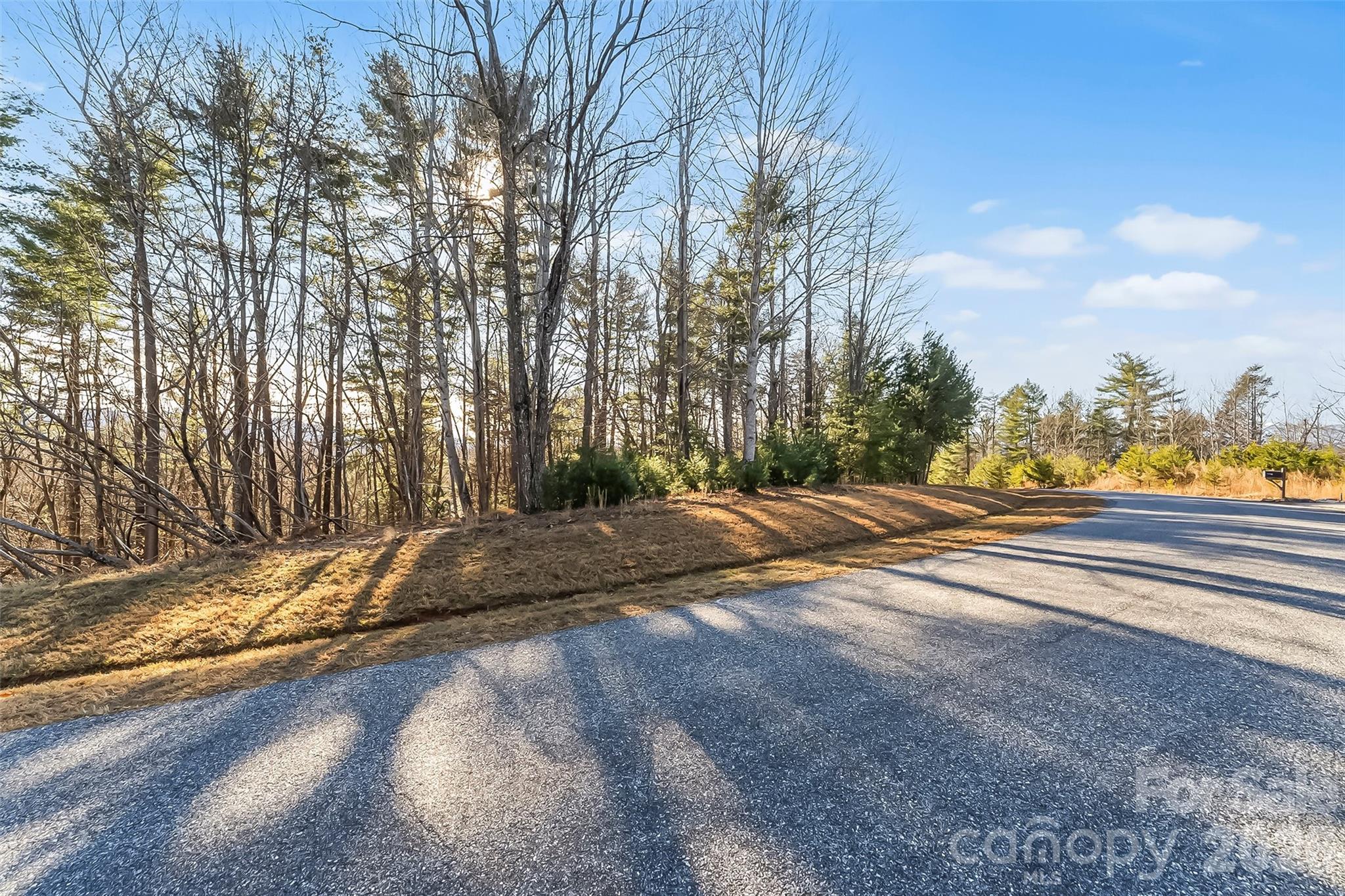 961 High Trail Drive Nebo NC 28761