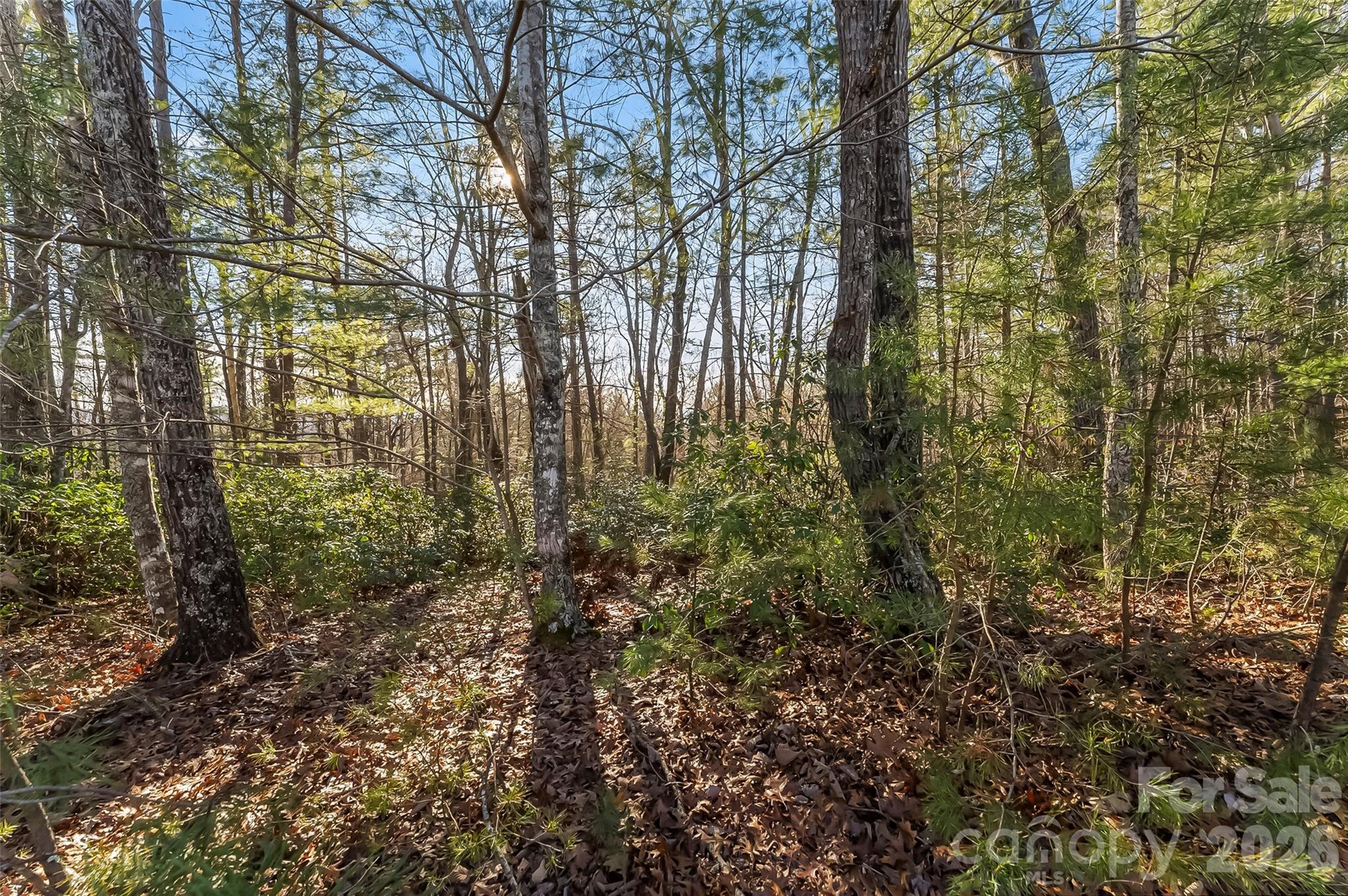 961 High Trail Drive Nebo NC 28761