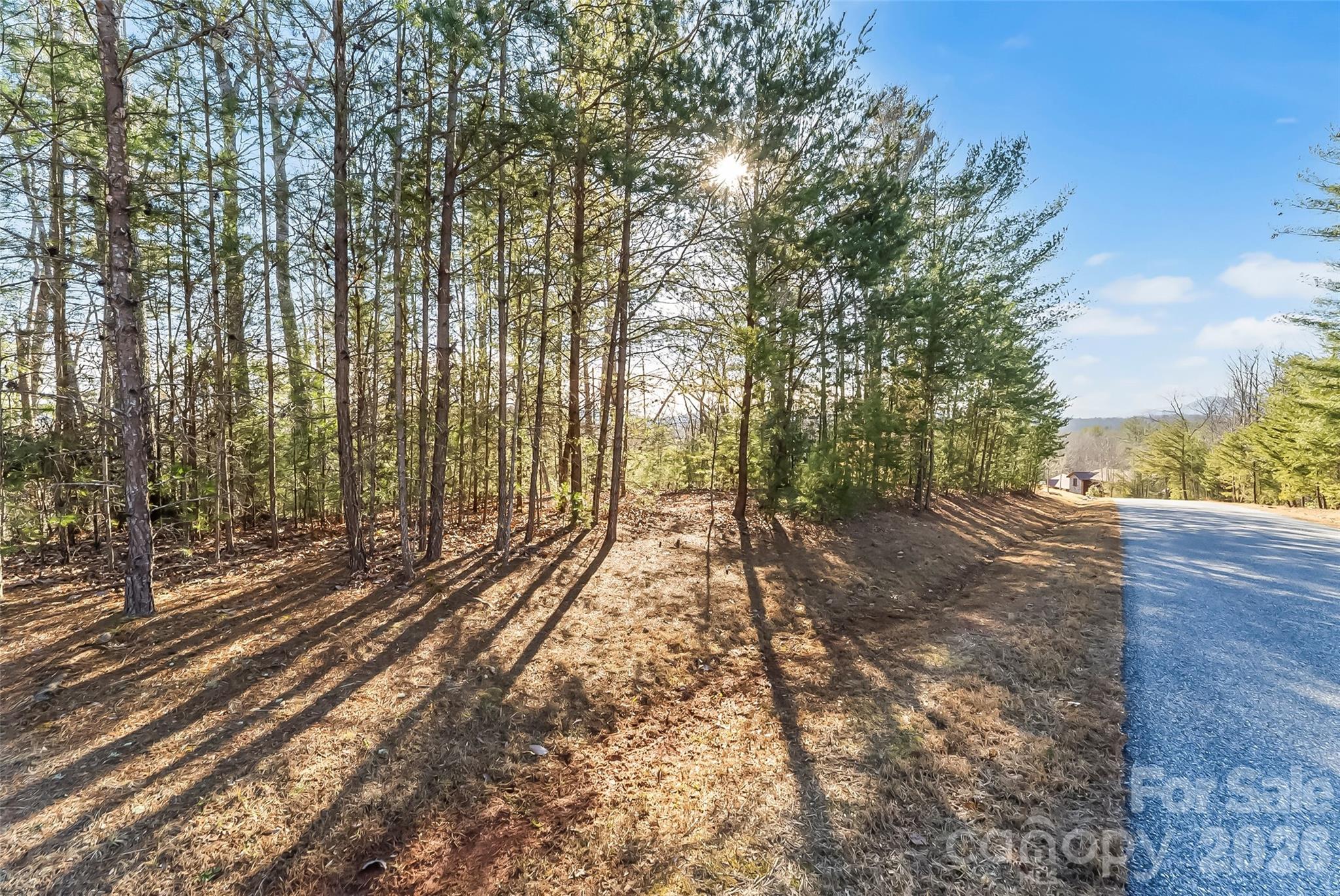 961 High Trail Drive Nebo NC 28761