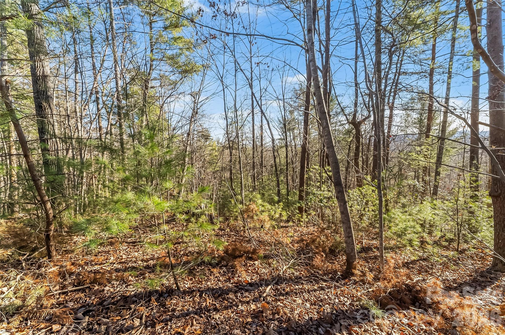 961 High Trail Drive Nebo NC 28761