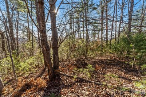 961 High Trail Drive Nebo NC 28761