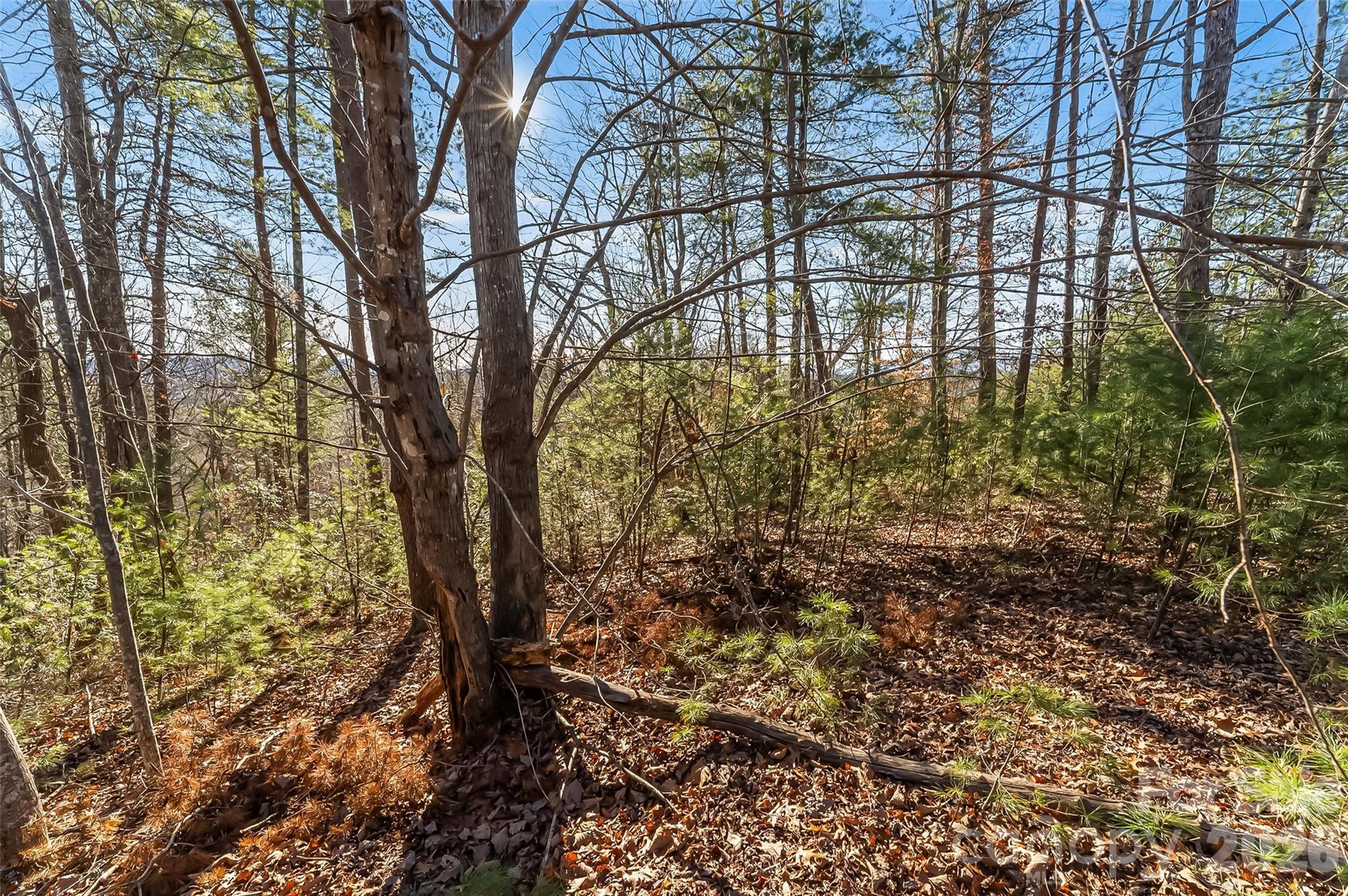 961 High Trail Drive Nebo NC 28761