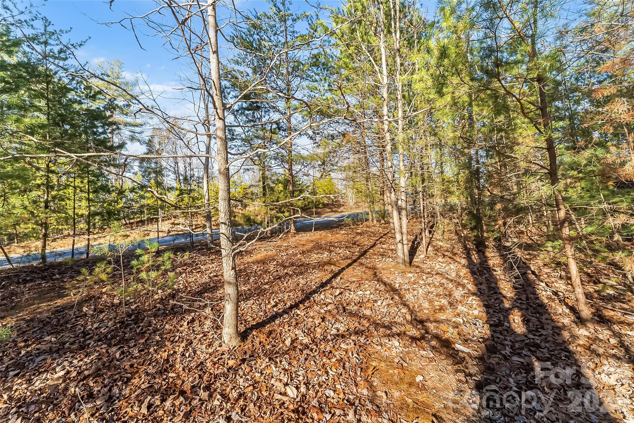 961 High Trail Drive Nebo NC 28761