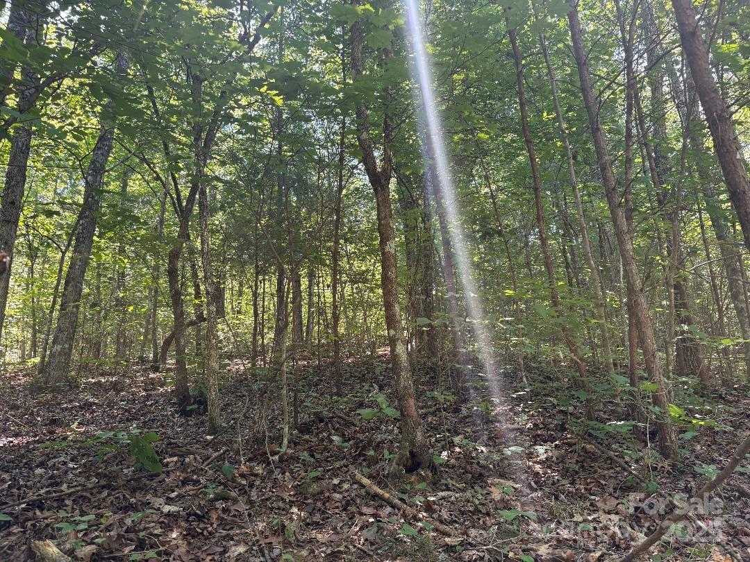 Lot 13 Wildflower Way Marion NC 28752