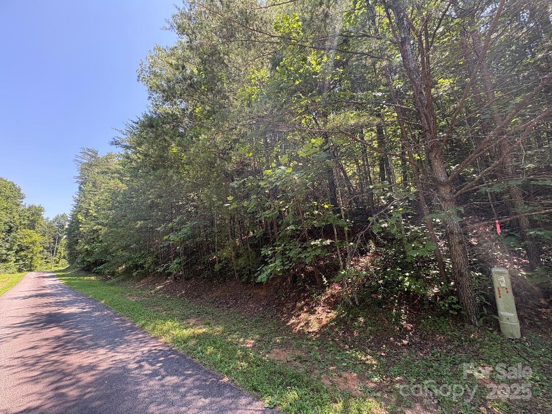 Lot 13 Wildflower Way Marion NC 28752